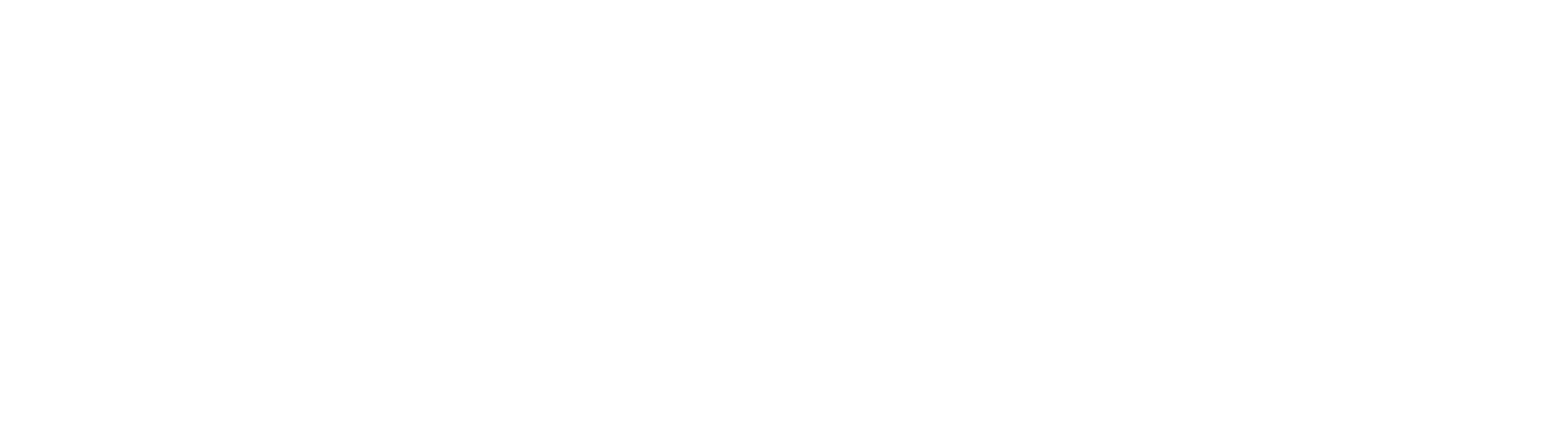 SEOLVIT MARKETING AGENCY LOGO WHITE
